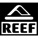 reef ist startete als ein kleines...