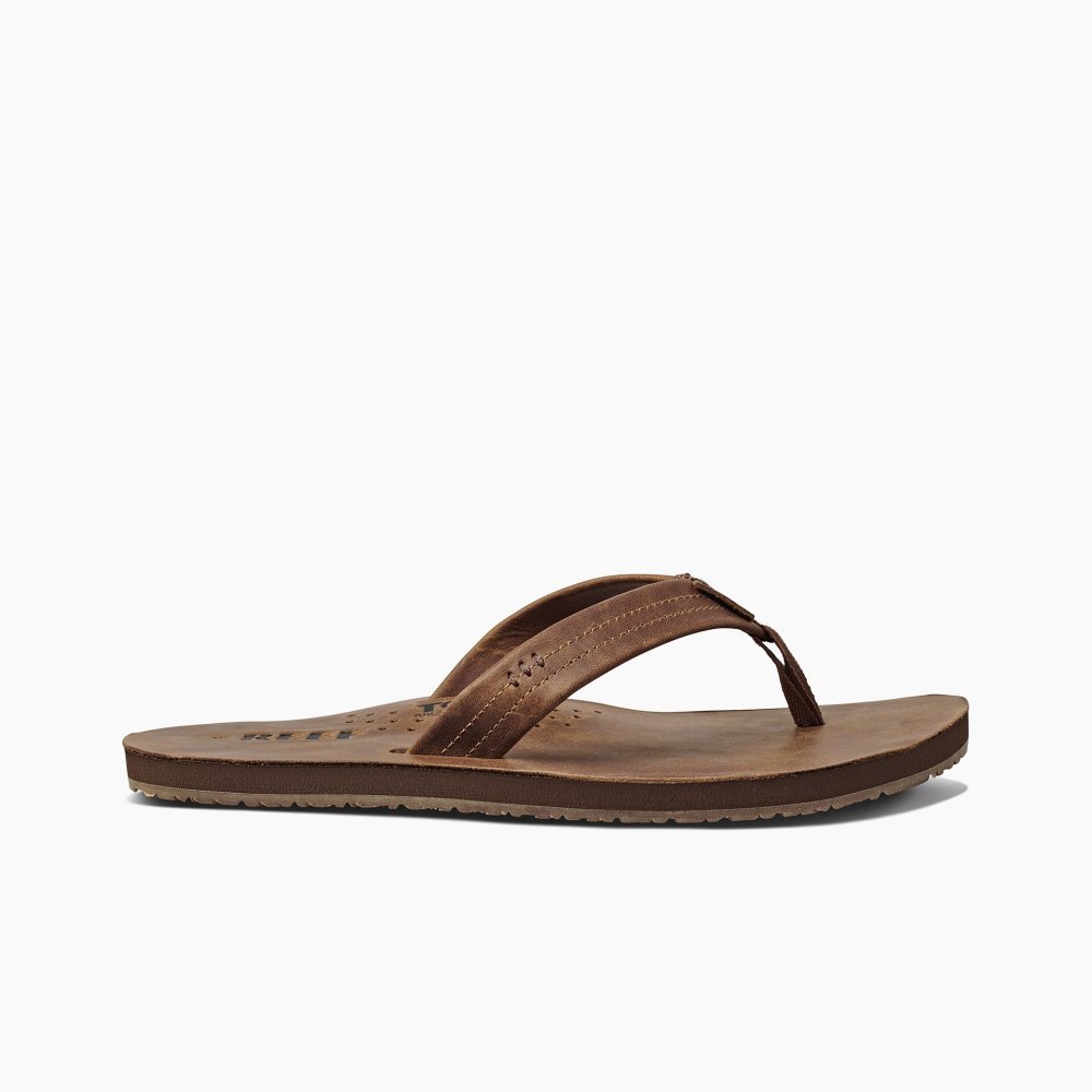 reef draftsmen bronze brown