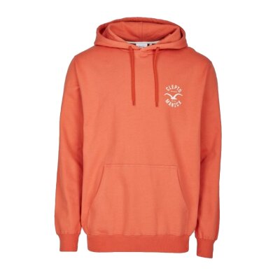 Sweater & Hoodies