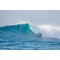 Surfboard TORQ Epoxy TET 8.0 Longboard Pinline