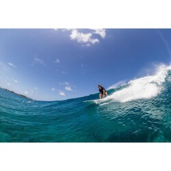 Surfboard TORQ Epoxy TET 8.6 Longboard Pinline