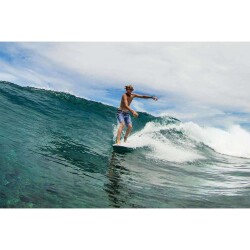 Surfboard TORQ TET 8.6 Longboard Pinline