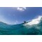 Surfboard TORQ TET 8.6 Longboard Pinline