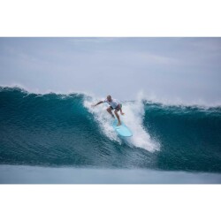 Surfboard TORQ Epoxy TET 9.6 Longboard  Pinline