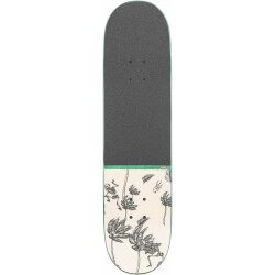 Globe G2 Typhoon 8.125 Skateboard Green