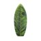 HW-Shapes Ultimate Wave Skimboard Skimleaf
