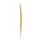 Surfboard TORQ TEC Summer Fish 6.0 Rail Orange