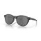 Oakley Reedmace Sonnenbrille Matte Black Ink Prizm Black