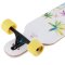 BTFL Cocco Dropthrough  Longboard