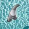 Endorfins Slater KS1 5 Fin Set Medium 2 Tab Black White