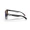 Oakley Frogskins Sonnenbrille Matte Black Prizm Violet