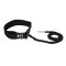 Ride Engine  Quick Release Bungeel Waist Leash 6 Bauchleash Wingfoil