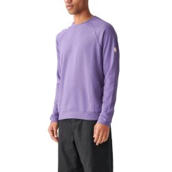 Globe Sweater Traveller Crew Berry