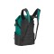 Picture Grounds Backpack  Bayberry