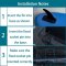 Finne für Ariinui Mahana aufblasbare SUP Boards