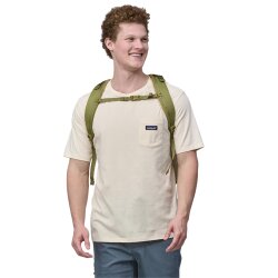 Patagonia Refugio Day Pack 30L Buckhorn Green