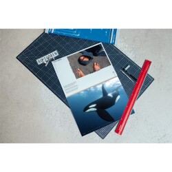 BINSURFEN Kalender 2026