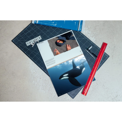 BINSURFEN Kalender 2026