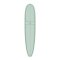 Surfboard TORQ Epoxy TET 9.1 Longboard CC Palm
