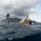 Naish Wing Anchor