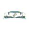 Eleveight RS V9 Kite Freeride Series 2026 17m Tech Green LW