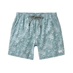 Katin Boardshort Moco Volley Aloe Green