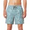 Katin Boardshort Moco Volley Aloe Green