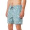 Katin Boardshort Moco Volley Aloe Green