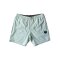 Vissla Lazy Daisy 16.5 Boardshort Aloe
