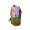 Cotopaxi Rucksack Batac 24L Green