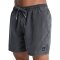 Quiksilver Everyday Surfwash Volley 15" Black