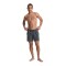 Quiksilver Everyday Surfwash Volley 15" Black