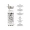 Les Artistes Paris Isolierdose Dino 500ml Creativ Color Set