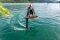Indiana Foil Alu Mast 75 cm