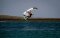 Indiana Wing Foil Freewave 50 L Carbon