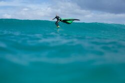 Indiana Wave Foil 410 Carbon