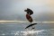 Indiana 40 Pump, Surf & Wing Le Doigt Carbon +