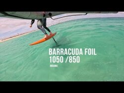 Indiana Foil HP Front Wing Barracuda L