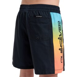 Quiksilver Everyday Holmes Volley Black Holmes