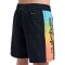 Quiksilver Everyday Holmes Volley Black Holmes