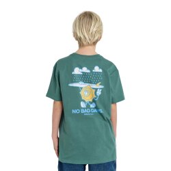 Billabong Gimmick T-Shirt Sagebrush XS/8