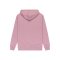 Quiksilver Salt Water Hoodie Elderberry