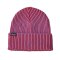 Patagonia Fishermans Rolled Beanie Brisk Purple