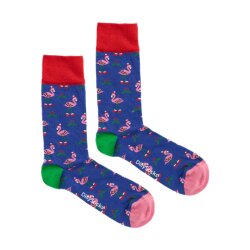 DillySocks Flamingo Fest