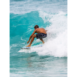 Softech Eric Geiselman Flash 50" Performance Softboard FCS2 Grey Marble