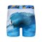 Pullin Trunk Fashion 2 Boxershort Koasmith
