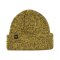 Reell Polar Beanie Yellow Green