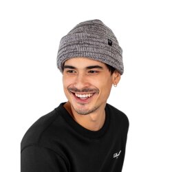 Reell Polar Beanie Cloud