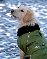 DRYROBE Dog Coat Hundemantel Dunkelgrün Schwarz XL