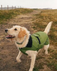 DRYROBE Dog Coat Hundemantel Dunkelgrün Schwarz L